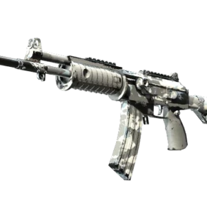 Galil AR | Winter Forest (Field-Tested)