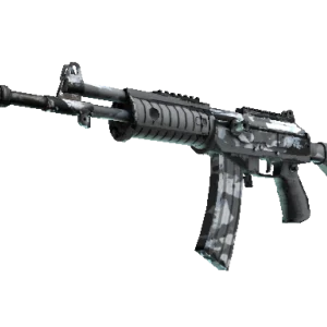 Galil AR | Winter Forest (Well-Worn)