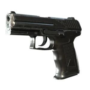 P2000 | Panther Camo (Field-Tested)