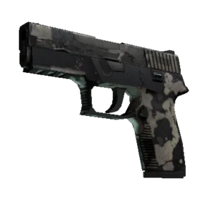 P250 | Black & Tan (Battle-Scarred)
