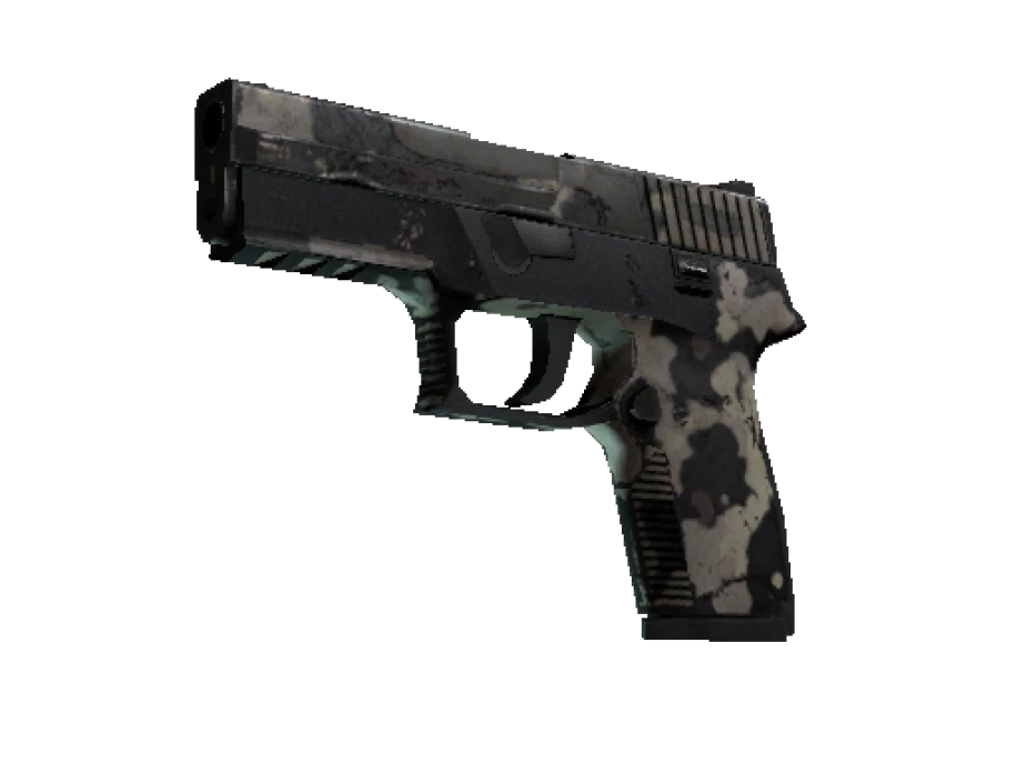 P250 | Black & Tan (Battle-Scarred)