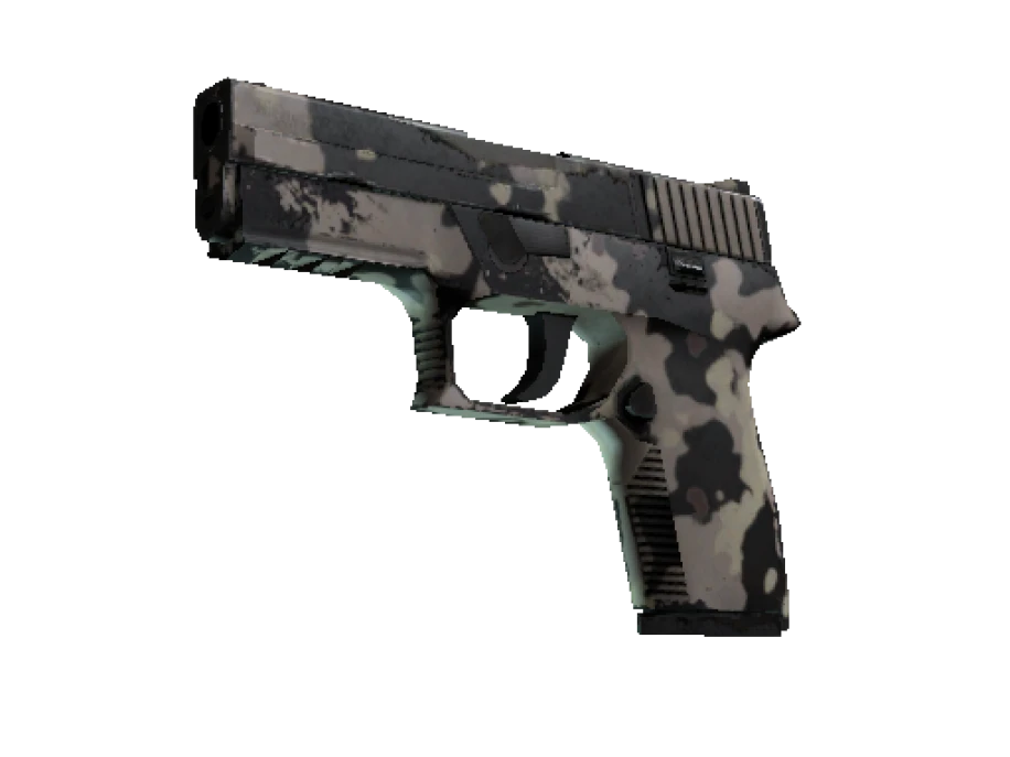 P250 | Black & Tan (Well-Worn)