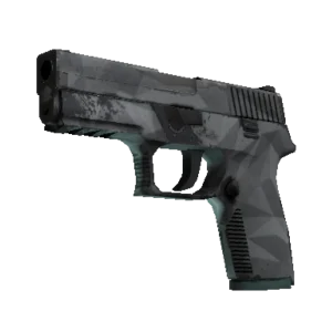 P250 | Facets (Field-Tested)