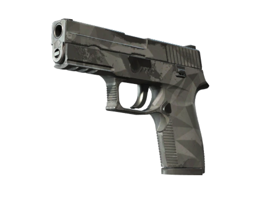 P250 | Facets (Well-Worn)