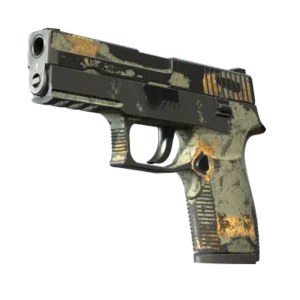 P250 | Modern Hunter (Battle-Scarred)