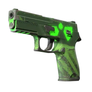P250 | Nuclear Threat (Well-Worn)