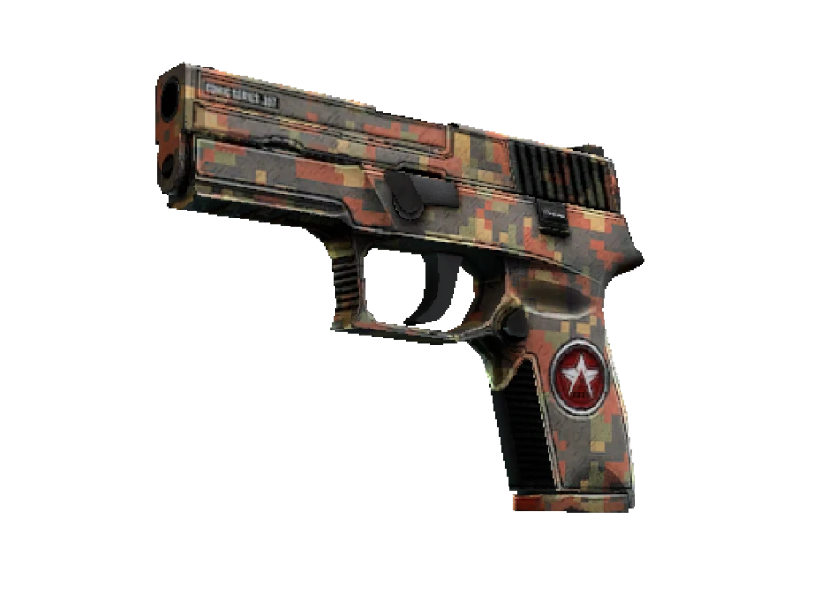P250 | Red Rock (Well-Worn)
