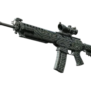 SG 553 | Barricade (Well-Worn)