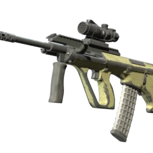 Souvenir AUG | Colony (Battle-Scarred)
