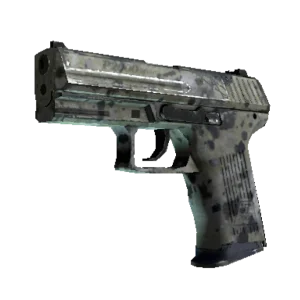 Souvenir P2000 | Granite Marbleized (Field-Tested)