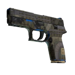 Souvenir P250 | Exchanger (Well-Worn)