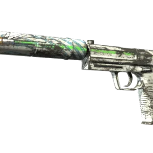 Souvenir USP-S | Road Rash (Field-Tested)