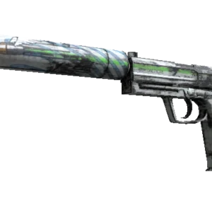 Souvenir USP-S | Road Rash (Minimal Wear)
