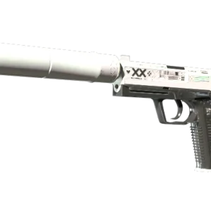 StatTrak™ USP-S | Printstream (Minimal Wear)