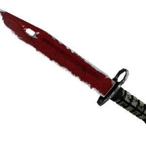 ★ Bayonet | Crimson Web (Well-Worn)
