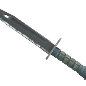 ★ Bayonet | Night (Field-Tested)