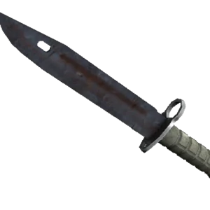 ★ Bayonet | Rust Coat (Well-Worn)