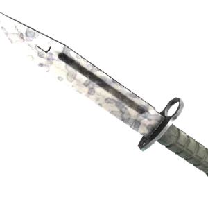★ Bayonet | Stained (Minimal Wear)