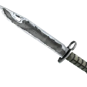 ★ Bayonet | Urban Masked (Battle-Scarred)