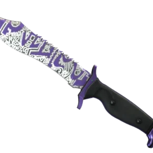 ★ Bowie Knife | Freehand (Minimal Wear)