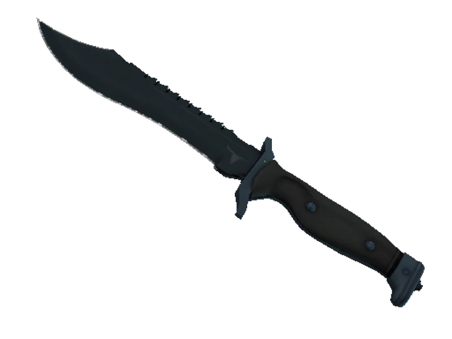 ★ Bowie Knife | Night (Factory New)