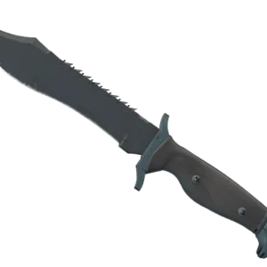 ★ Bowie Knife | Night (Field-Tested)