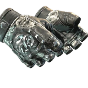 ★ Broken Fang Gloves | Unhinged (Minimal Wear)