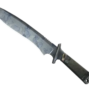 ★ Classic Knife | Stained (Minimal Wear)
