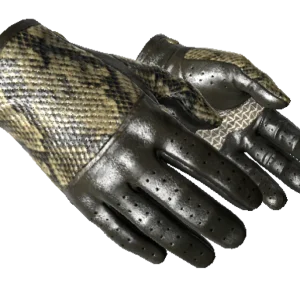 ★ Driver Gloves | Diamondback (Minimal Wear)
