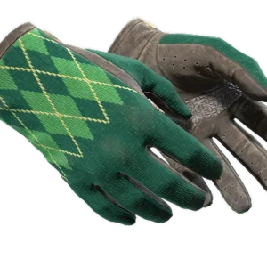 ★ Driver Gloves | Hand Sweaters (Well-Worn)