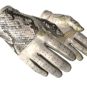 ★ Driver Gloves | King Snake (Well-Worn)