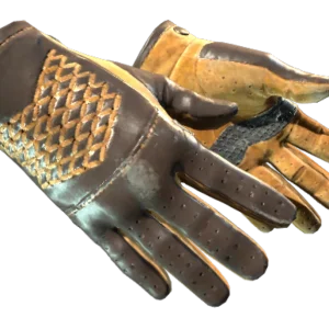 ★ Driver Gloves | Overtake (Field-Tested)