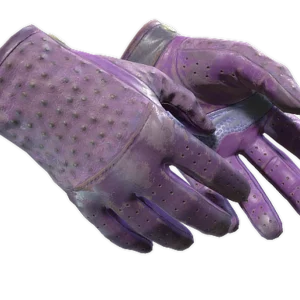 ★ Driver Gloves | Plum Quill (Battle-Scarred)