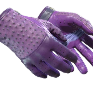 ★ Driver Gloves | Plum Quill (Minimal Wear)