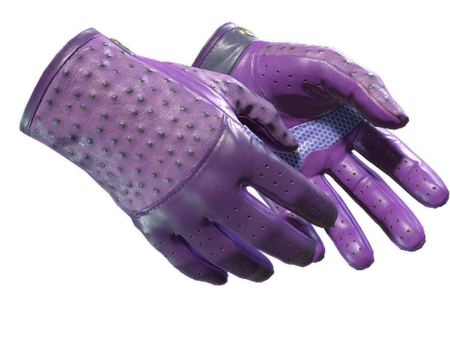 ★ Driver Gloves | Plum Quill (Minimal Wear)