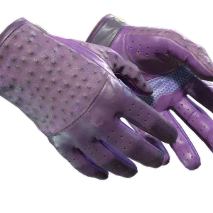 ★ Driver Gloves | Plum Quill (Well-Worn)
