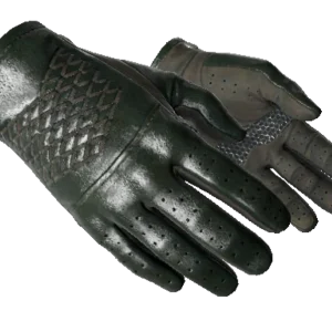 ★ Driver Gloves | Racing Green (Factory New)