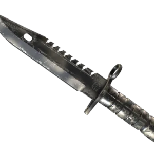 ★ M9 Bayonet | Scorched (Well-Worn)