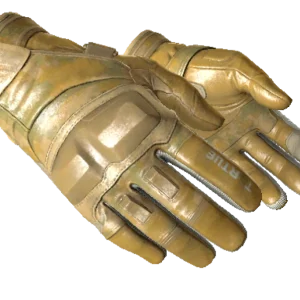 ★ Moto Gloves | Transport (Minimal Wear)