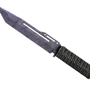 ★ Paracord Knife | Blue Steel (Battle-Scarred)