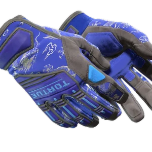 ★ Specialist Gloves | Cloud Chaser (Minimal Wear)