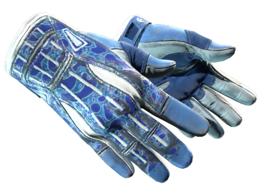 ★ Sport Gloves | Amphibious (Field-Tested)