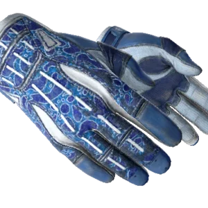 ★ Sport Gloves | Amphibious (Well-Worn)