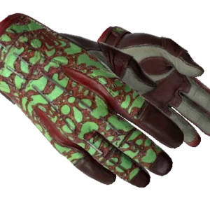 ★ Sport Gloves | Bronze Morph (Factory New)