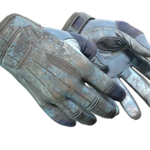 ★ Sport Gloves | Frosty (Battle-Scarred)