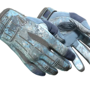 ★ Sport Gloves | Frosty (Field-Tested)