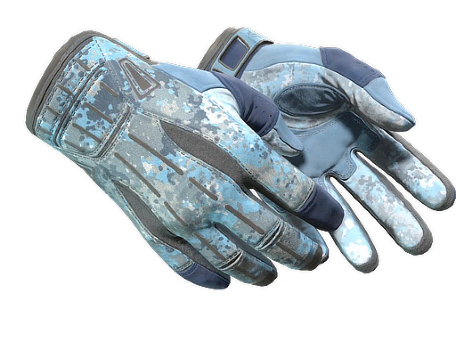 ★ Sport Gloves | Frosty (Minimal Wear)