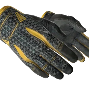 ★ Sport Gloves | Omega (Well-Worn)