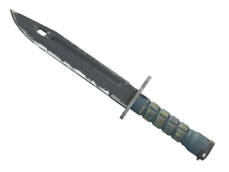 ★ StatTrak™ Bayonet | Night (Field-Tested)
