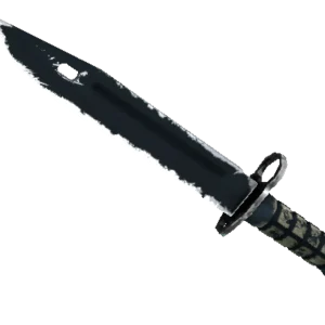 ★ StatTrak™ Bayonet | Night (Well-Worn)